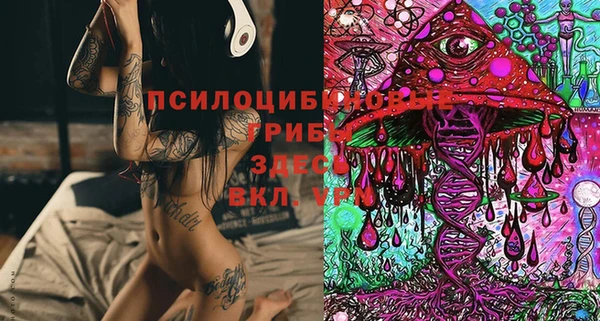марки lsd Белокуриха